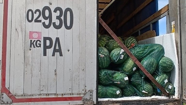В Россию снова не пустили арбузы из Кыргызстана из-за соломенной подстилки изображение публикации