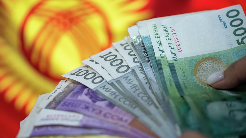 Средняя зарплата в КР в 2029 году составит почти 49 тысяч сомов изображение публикации