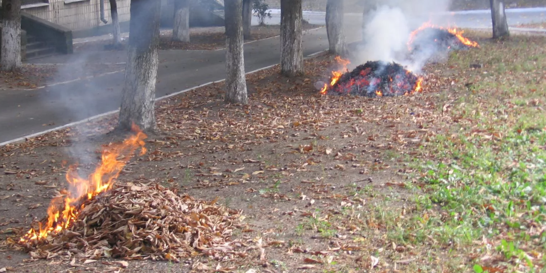 За сжигание листвы и мусора в Бишкеке выписали штрафы на 2 млн сомов изображение публикации
