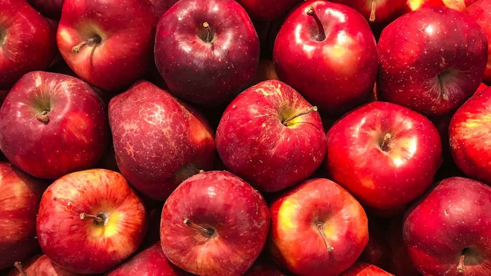Казахстан временно запретил ввоз яблок на период сбора урожая изображение публикации