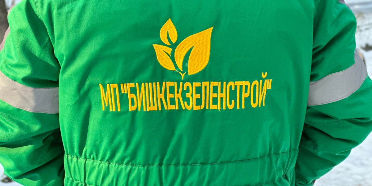 Прокуратура выявила в «Бишкекзеленстрое» махинации с фиктивным тендером на 14.5 млн сомов изображение публикации