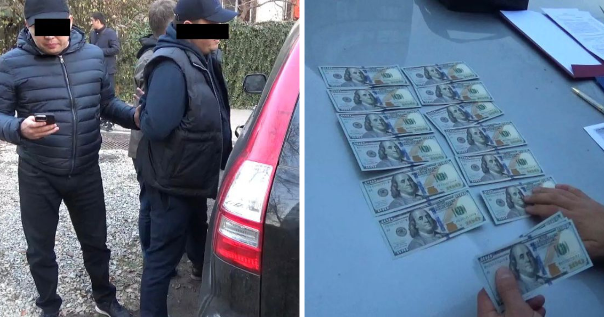 ГКНБ задержал начальника Ветеринарной службы за крупную взятку изображение публикации