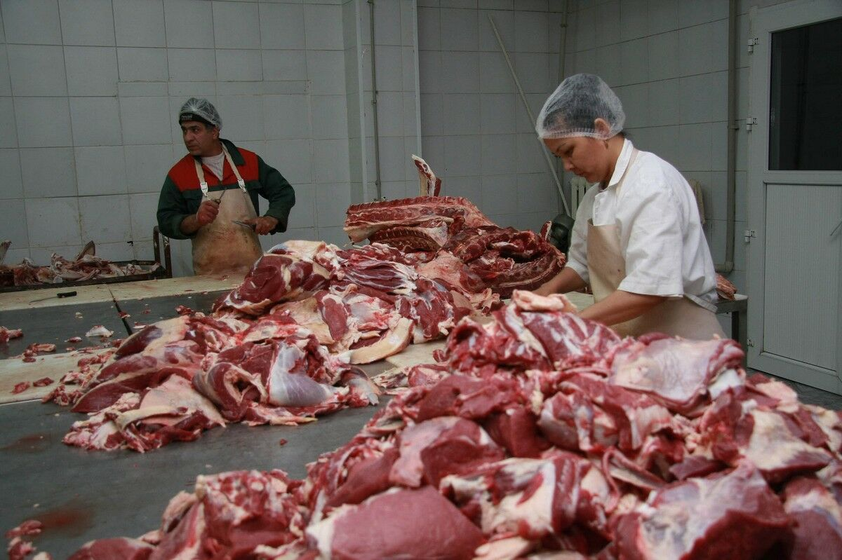 Кыргызстану предоставили тарифную льготу на импорт мяса в 2025 году изображение публикации