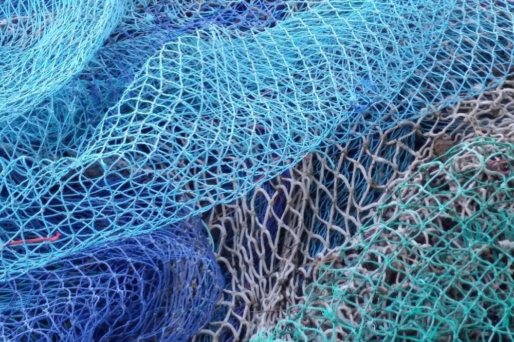 Из озера Иссык-Куль изъяли 1.3 км браконьерских сетей изображение публикации