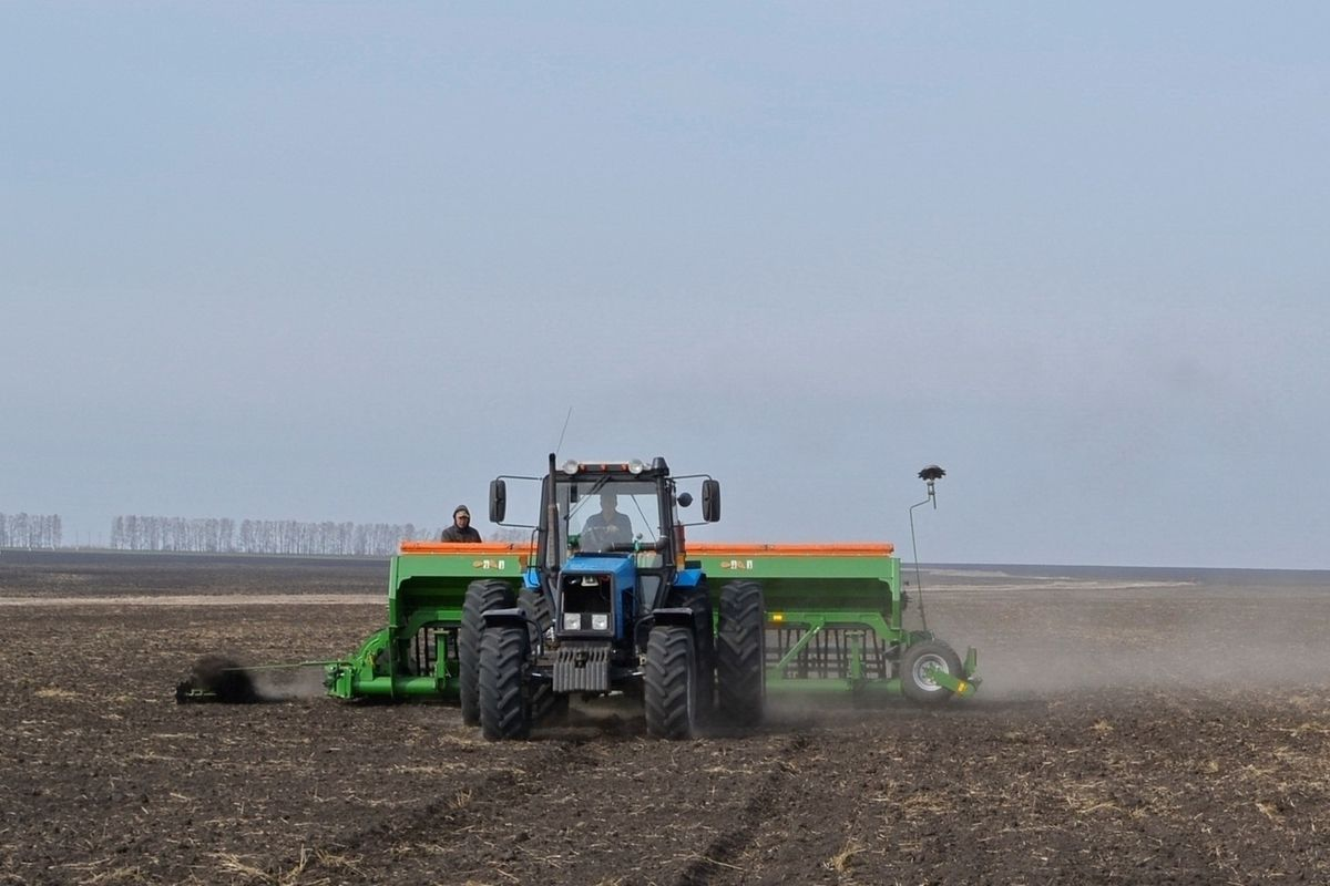 В текущем году в Баткене и Оше увеличили площади посева озимых зерновых изображение публикации