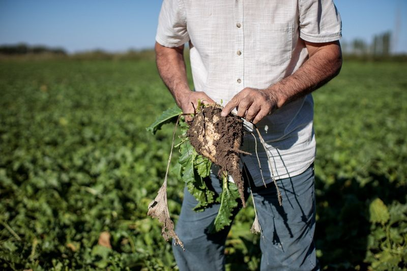 Более 11 тысяч фермеров получили льготные кредиты по проекту «Финансирование сельского хозяйства – 12» изображение публикации