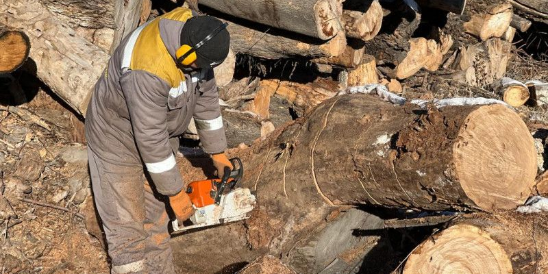 В Бишкеке малоимущим семьям предоставят дрова на зиму изображение публикации