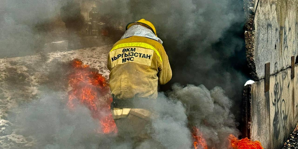 Ущерб от пожаров в Кыргызстане составил 688 млн сомов в текущем году изображение публикации