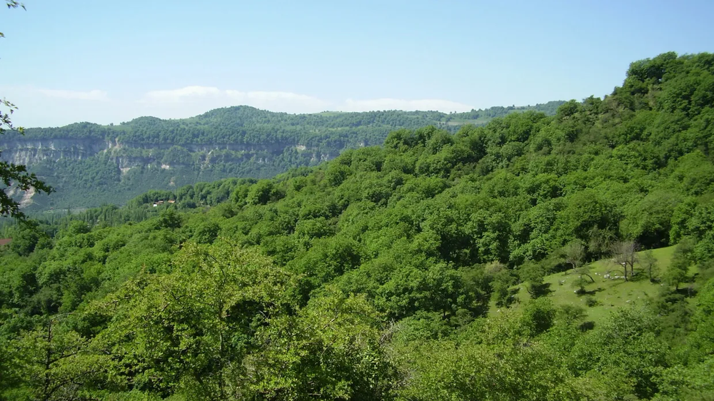 Минприроды объявило конкурс на охотничьи угодья в Джалал-Абаде изображение публикации