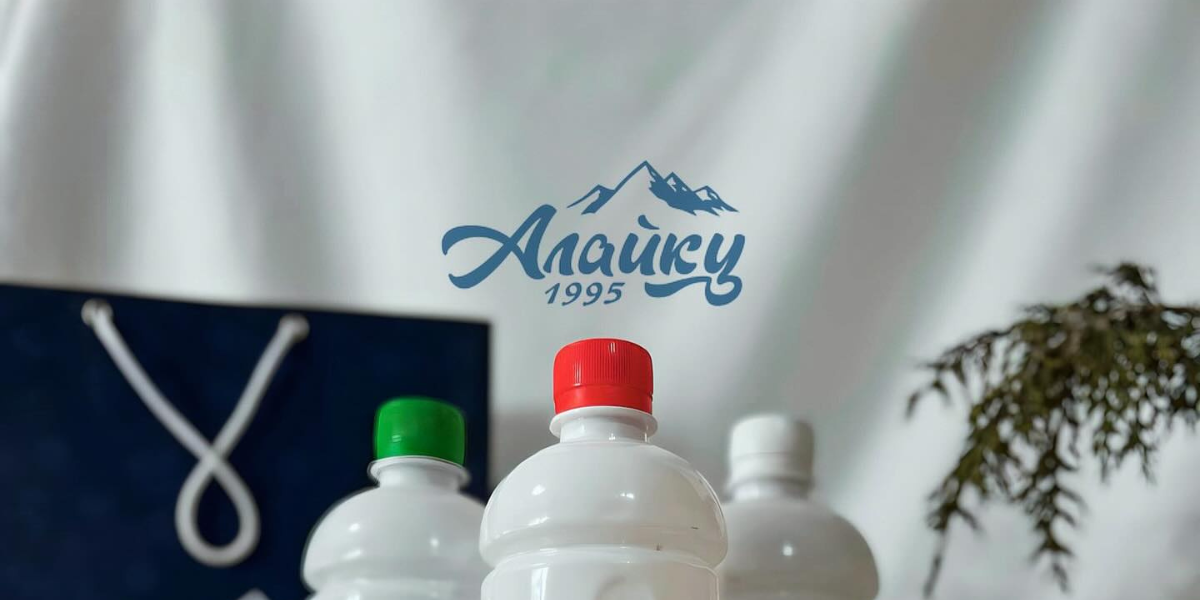 Счетная палата: «Алайку Органикс» использовала грант АРИС на погашение других кредитов изображение публикации