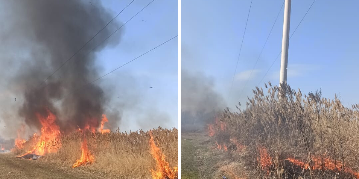 Энергетики предупреждают: сжигание сухостоя у ЛЭП может оставить районы без света изображение публикации