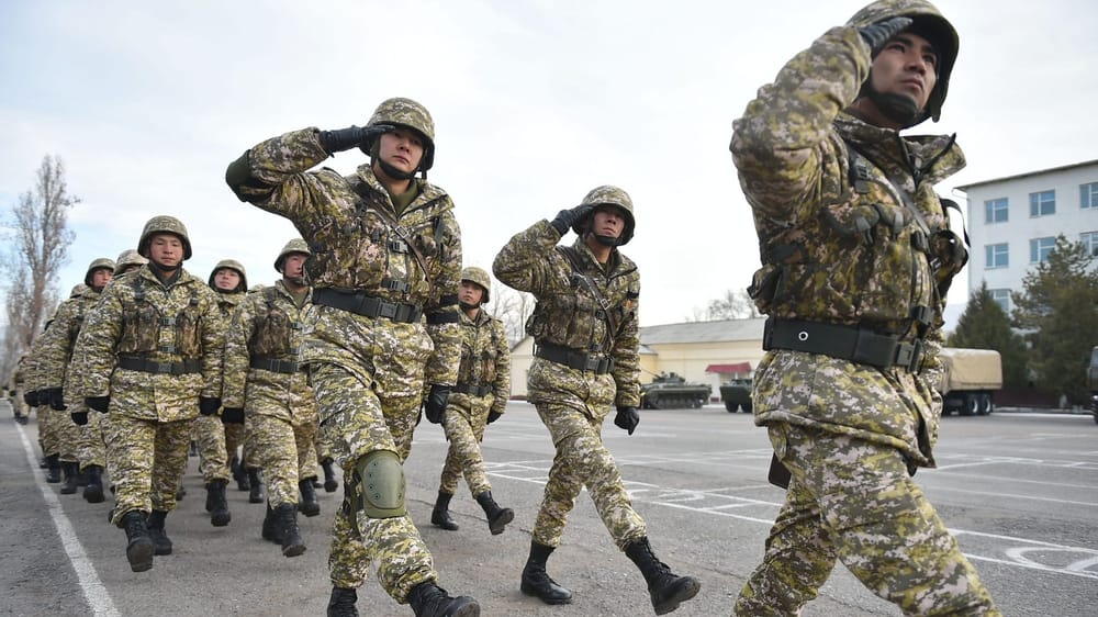 Пограничники КР будут сами обеспечивать себя продуктами – излишки планируется продавать изображение публикации