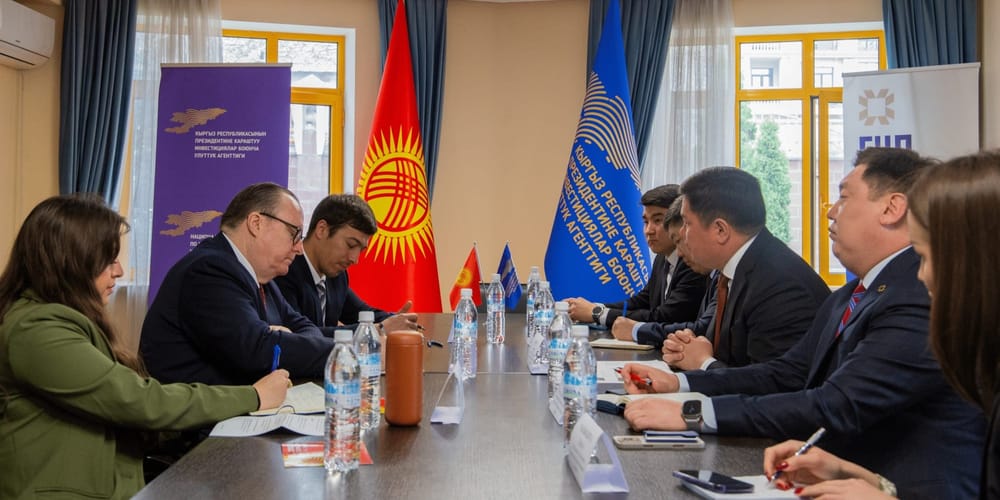 НАИ и посольство США обсудили продвижение двусторонних инвестпроектов изображение публикации