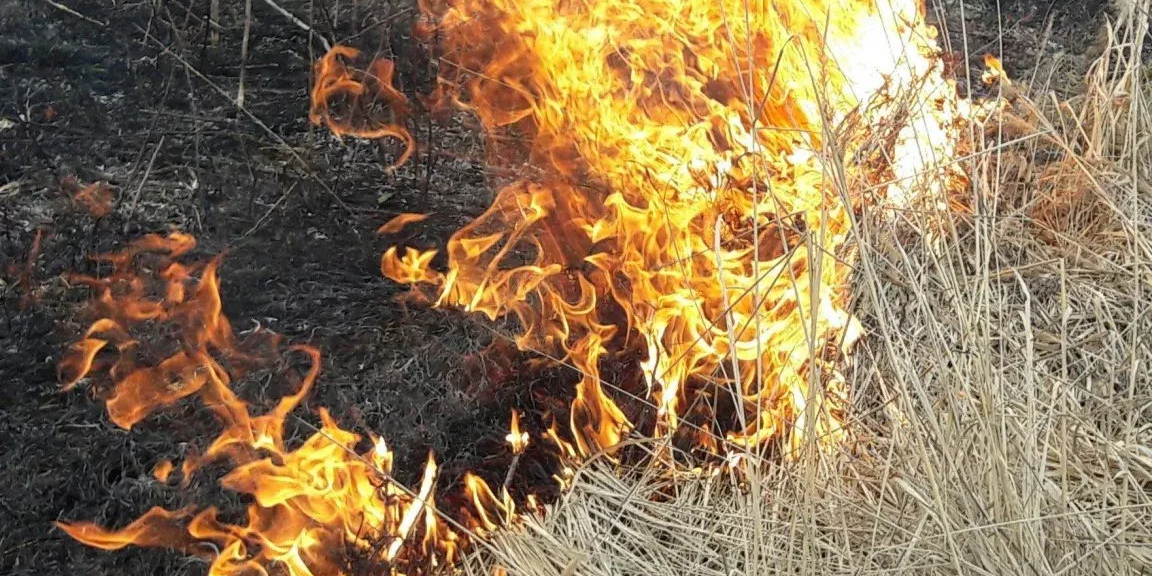 БиПЭС предупреждает об опасности поджогов вблизи ЛЭП изображение публикации