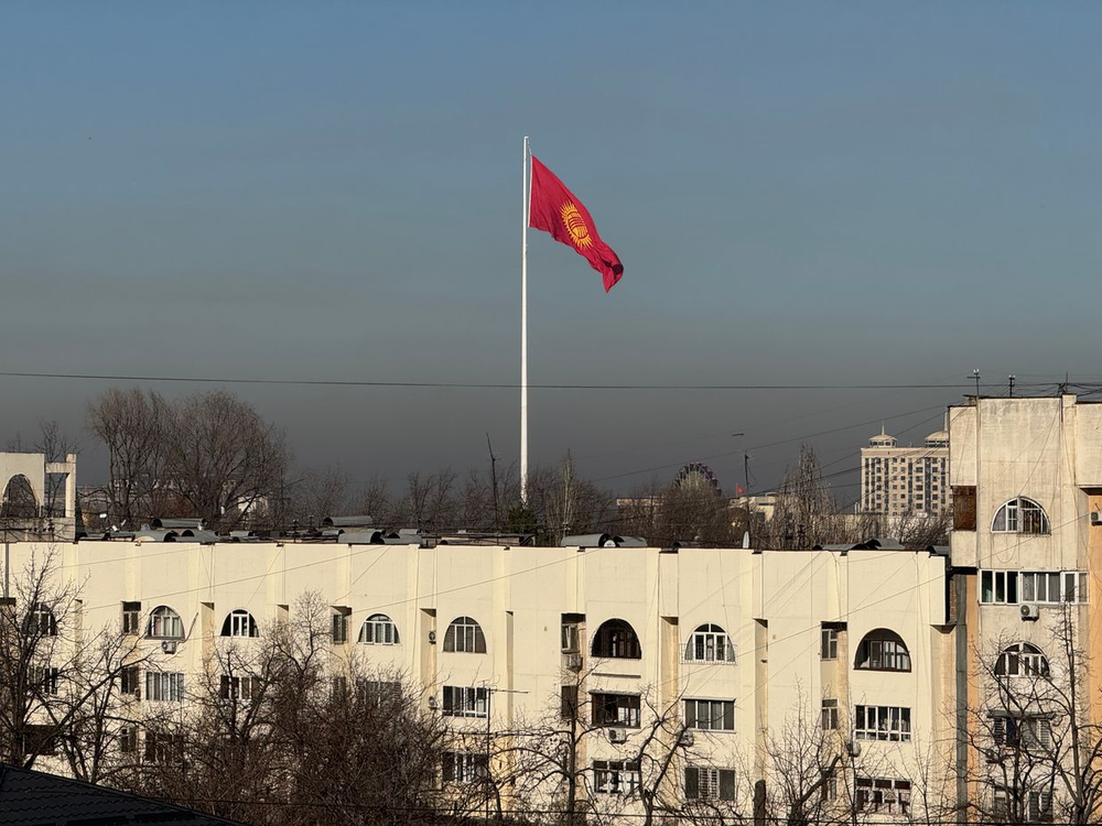 От астмы до рака легких: какие болезни провоцирует смог, напомнили в МЧС изображение публикации