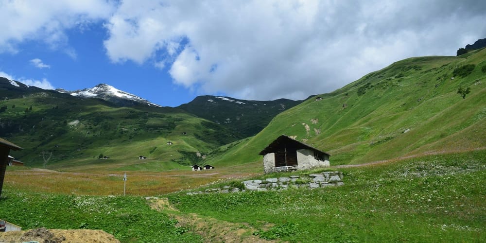 Житель Ала-Букинского района повредил 0.34 га пастбищных угодий — ущерб оценили в 261.1 тысячи сомов изображение публикации