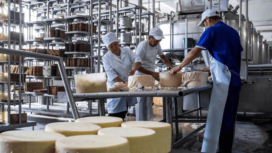 С начала года в КР трудоустроили свыше 4 тысяч безработных граждан изображение публикации