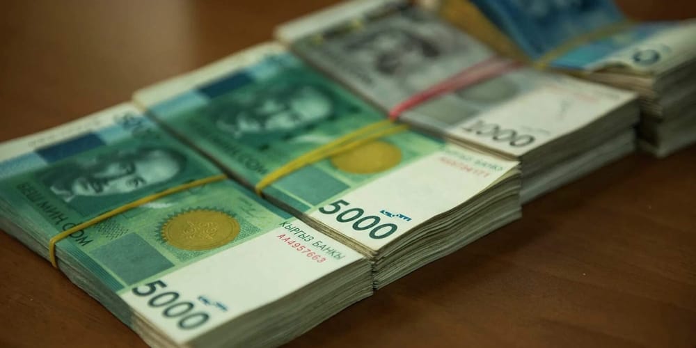 На поддержку сельского хозяйства по проекту «ФСХ-13» выдано кредитов на 1.6 млрд сомов изображение публикации