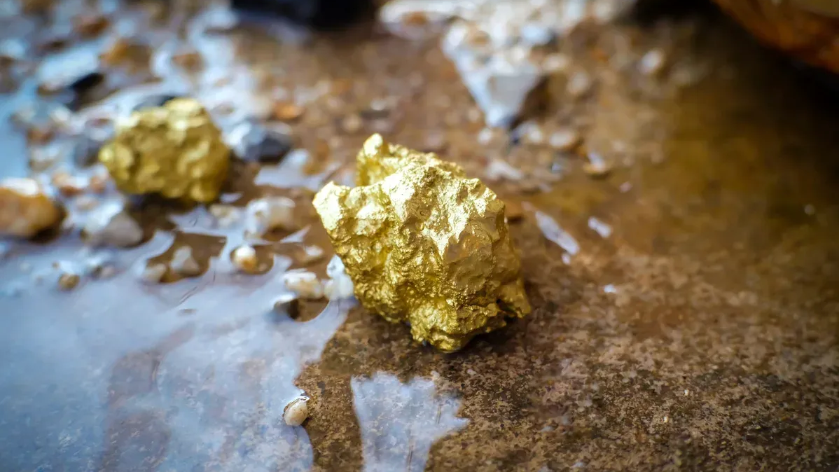Сколько в КР россыпного золота и какой ущерб экологии нанесли его добытчики, рассказали в Минприроды изображение публикации