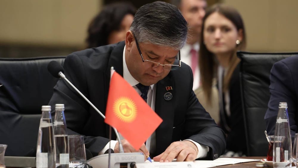 Кыргызстан присоединился к международной декларации по вопросам фостерной семьи изображение публикации