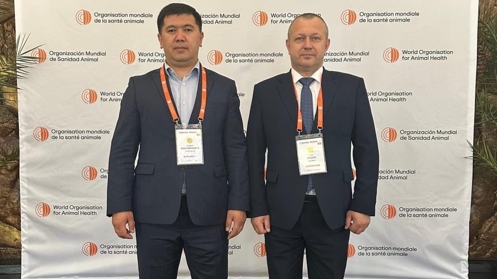 Кыргызстан укрепляет ветеринарное сотрудничество с Беларусью и Литвой изображение публикации