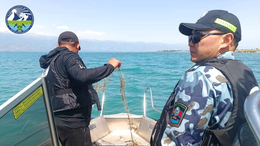 На Иссык-Куле за сутки изъяли более 30 браконьерских сетей изображение публикации