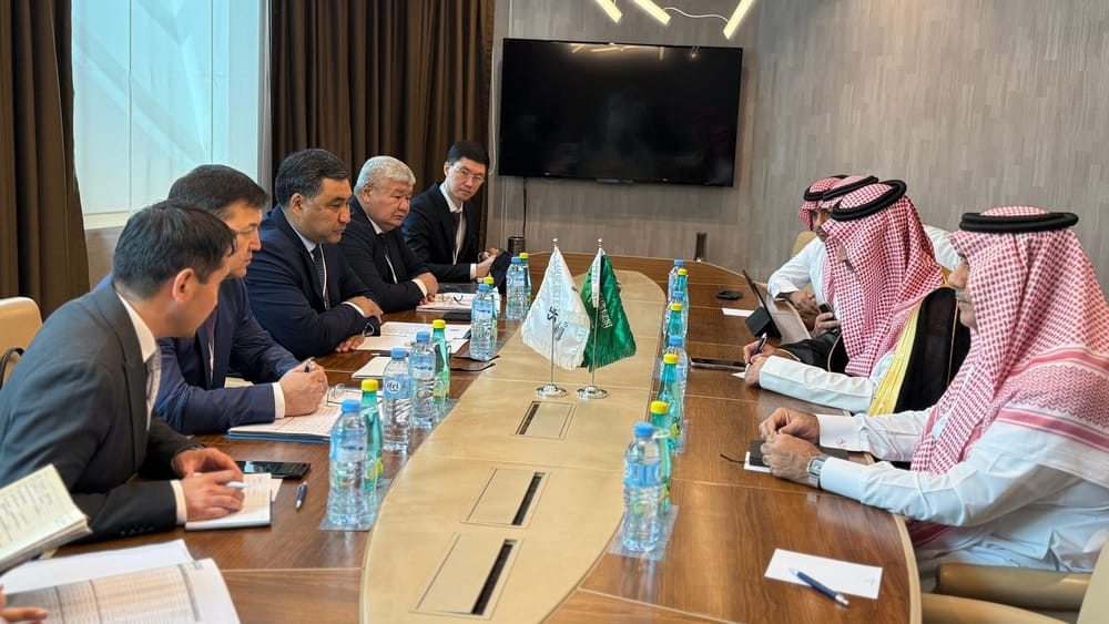 Кыргызстан заинтересован в расширении инвестпортфеля СФР изображение публикации