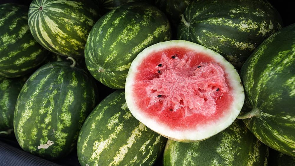 В Бишкеке проверили арбузы: содержание нитратов – в пределах нормы изображение публикации