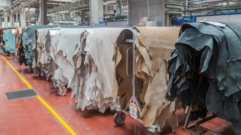 В Чуйской области построят кожевенный завод стоимостью 913.5 млн сомов изображение публикации