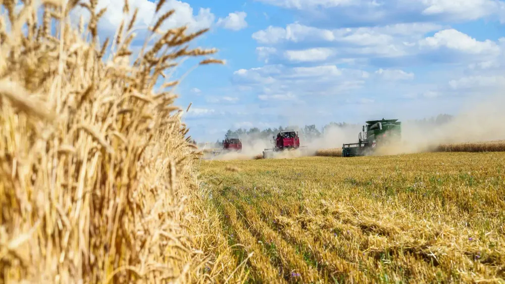 Кыргызстан привлек $49.2 млн на развитие сельского хозяйства в Нарынской области изображение публикации