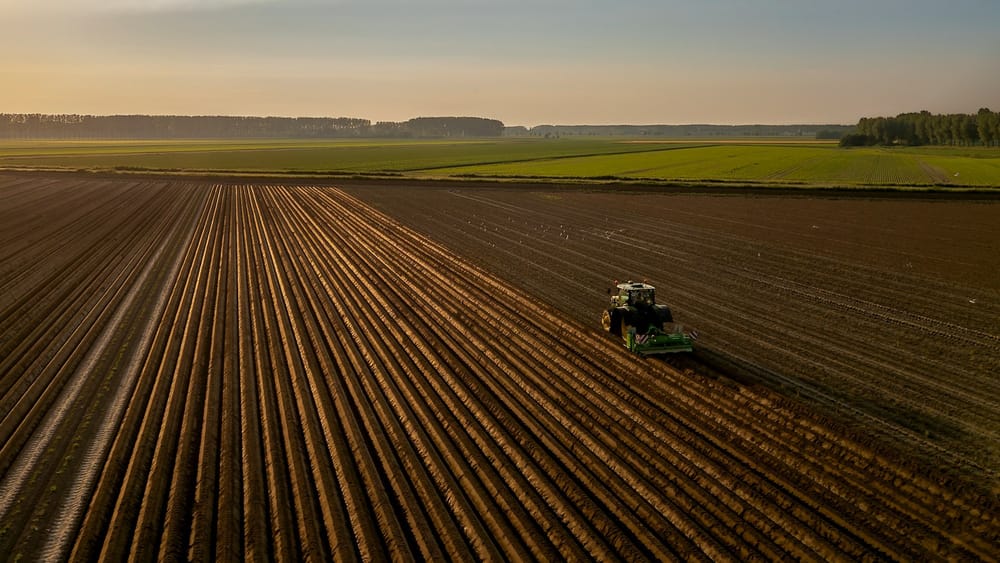 В Кыргызстане завершается весенняя посевная: охвачено почти 600 тысяч гектаров изображение публикации