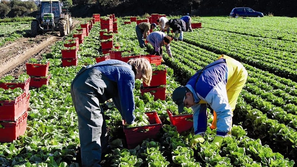 Самым востребованным после России направлением для трудовых мигрантов из КР стала Англия изображение публикации