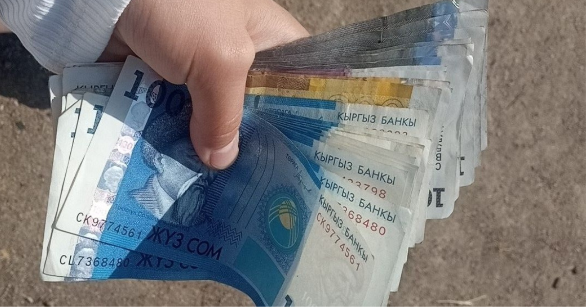 Госструктуры КР заработали за пять месяцев на оказании платных услуг более 10.6 млрд сомов изображение публикации