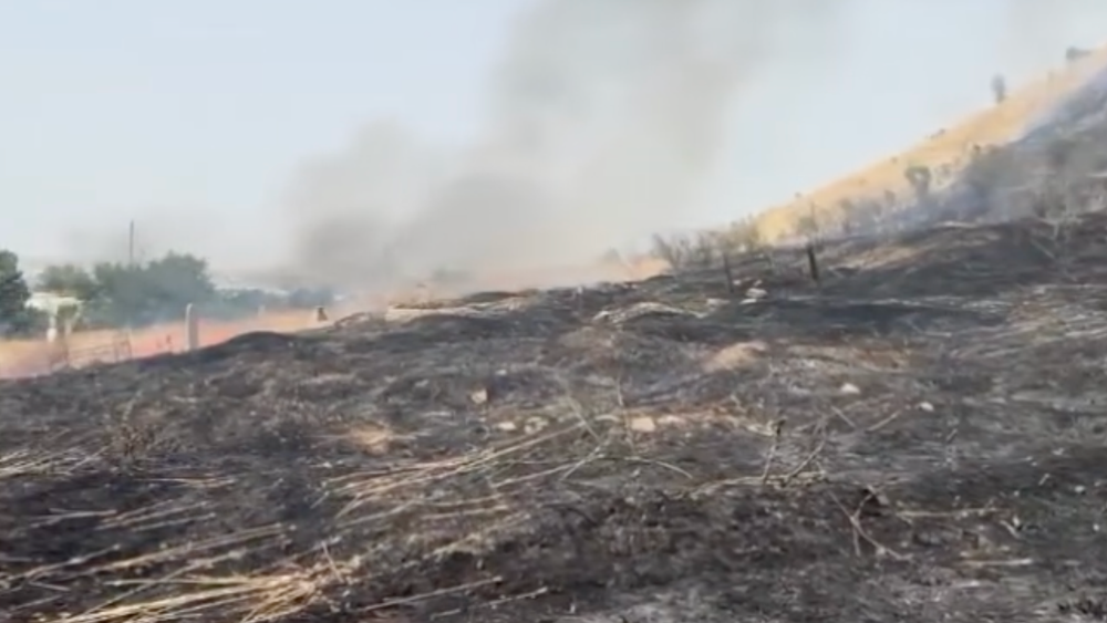 На горе Сулайман-Тоо произошел пожар, выгорело 15 га – видео изображение публикации