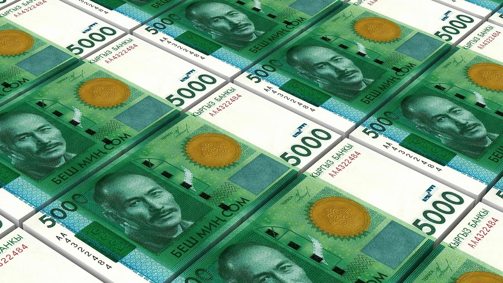 Депозитная база банков КР за год увеличилась на 195 млрд сомов изображение публикации