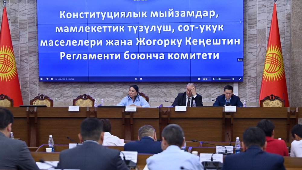 Профильный комитет ЖК поддержал поправки о применении госязыка в КР изображение публикации