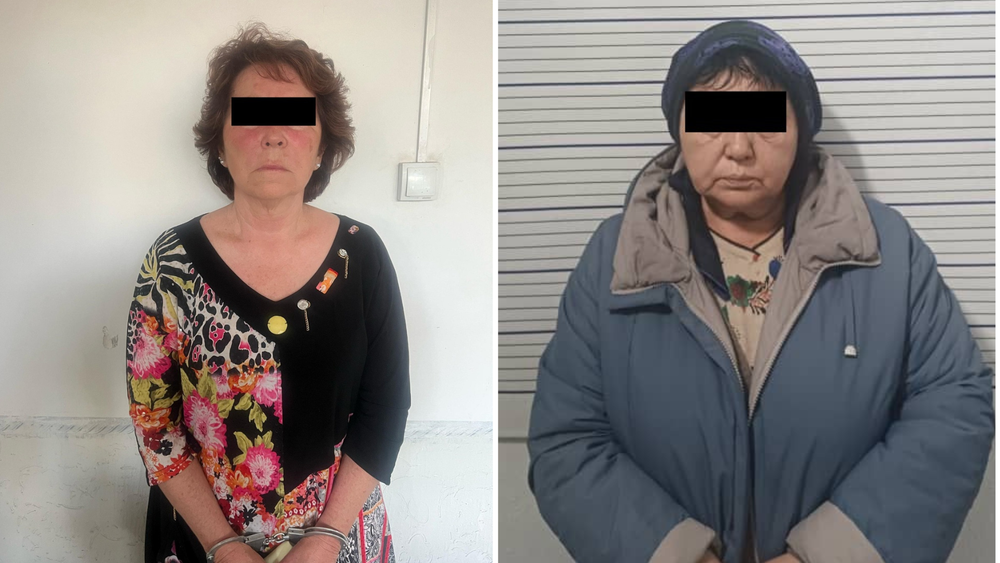 В КР раскрыли схему «черных риелторов» — жертв отправляли в психбольницу ради квартир изображение публикации