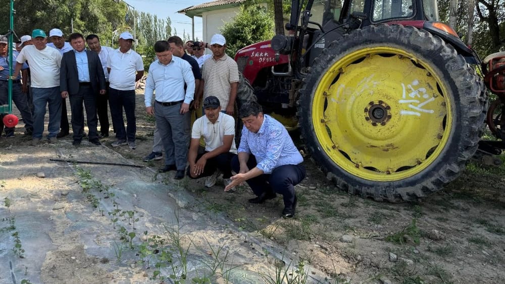 Бакыт Торобаев призвал фермеров выращивать высокодоходные сельхозкультуры изображение публикации