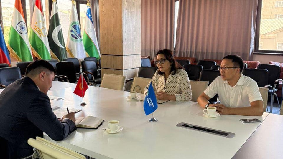 Госбанки Кыргызстана обсудили с Минфином расширение доступа МСБ к «зеленым» кредитам изображение публикации