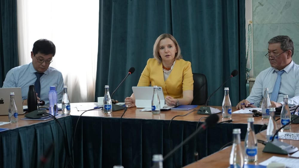 В КР запускают проект по развитию зеленого финансирования — инициативу поддержал ПРООН изображение публикации