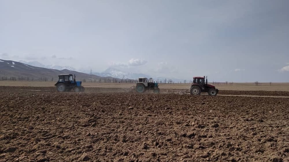 Весенне-полевые работы в КР завершаются — засеяно 93% полей изображение публикации