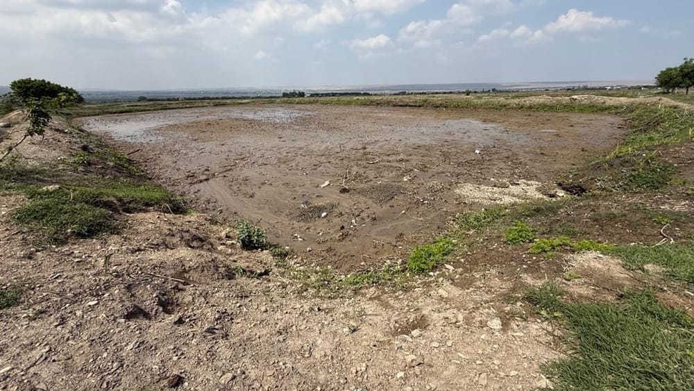 ГКНБ вернул Минсельхозу 120 га рисовых плантаций в Баткенской области изображение публикации