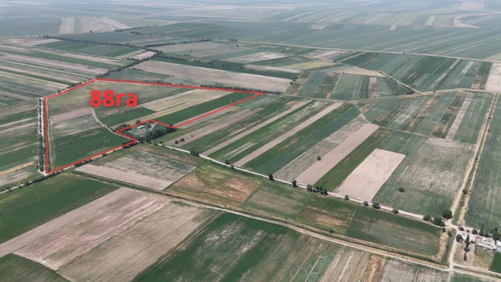 Государству вернули 400 га сельхозземель в Сокулукском районе изображение публикации