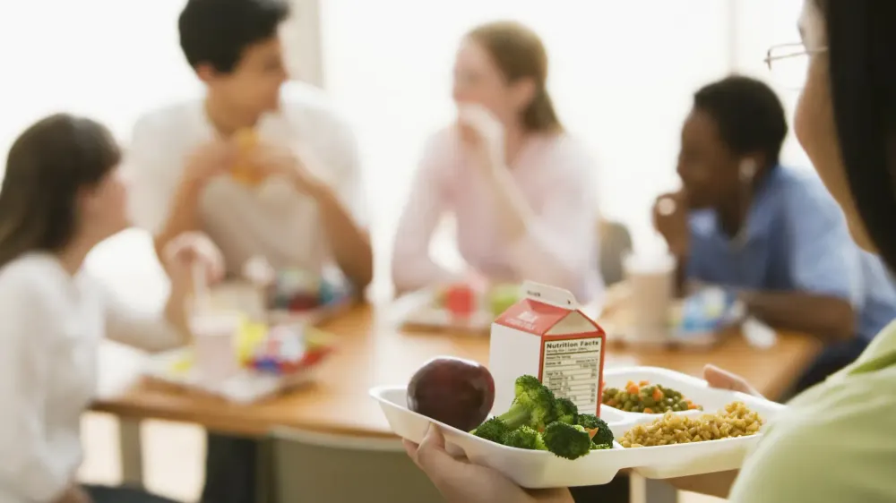 Кабмин утвердил положение о питании в учреждениях начального профобразования изображение публикации