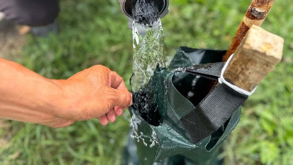 В Бишкеке начали использовать спецмешки для полива деревьев изображение публикации