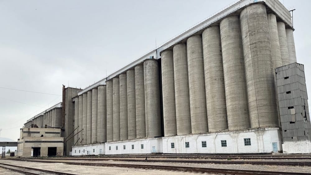 Элеватор в Балыкчы модернизируют — Минсельхоз собирается обновить мельницу и оборудование изображение публикации