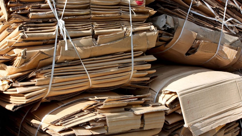 КР ввел временный запрет на вывоз макулатуры за пределы ЕАЭС изображение публикации