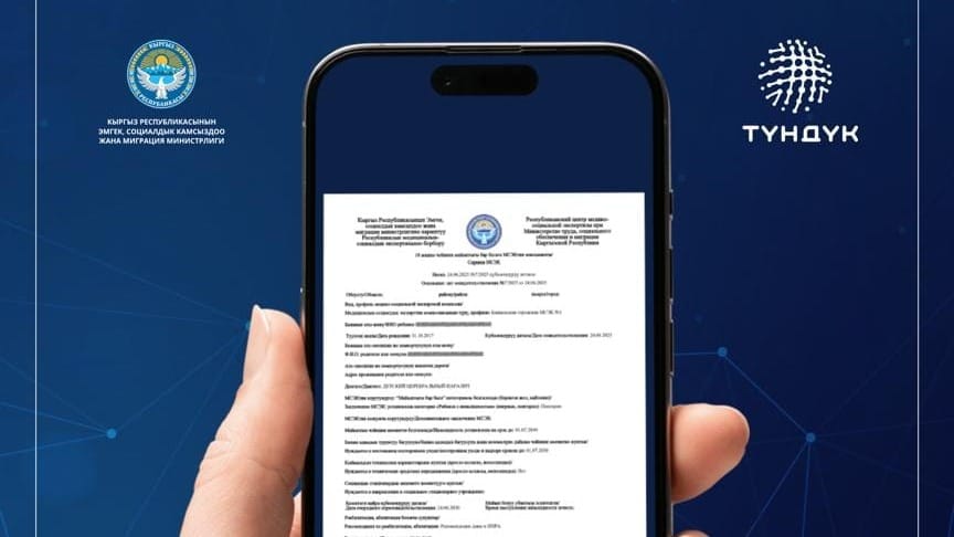 Справки по инвалидности теперь оформляются в Tunduk – Минтруд упростил процедуру изображение публикации