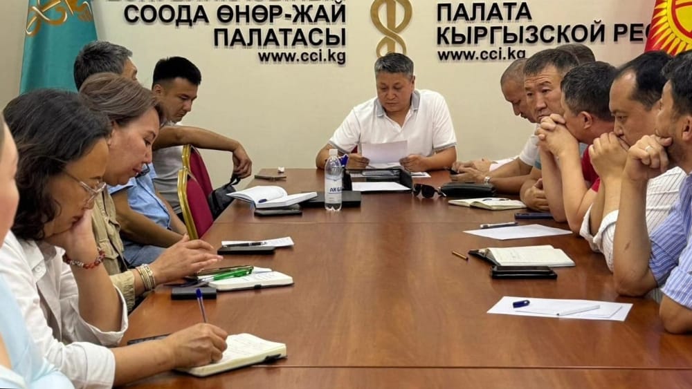 Логисты и перевозчики Кыргызстана пожаловались ТПП на барьеры при пересечении границ изображение публикации