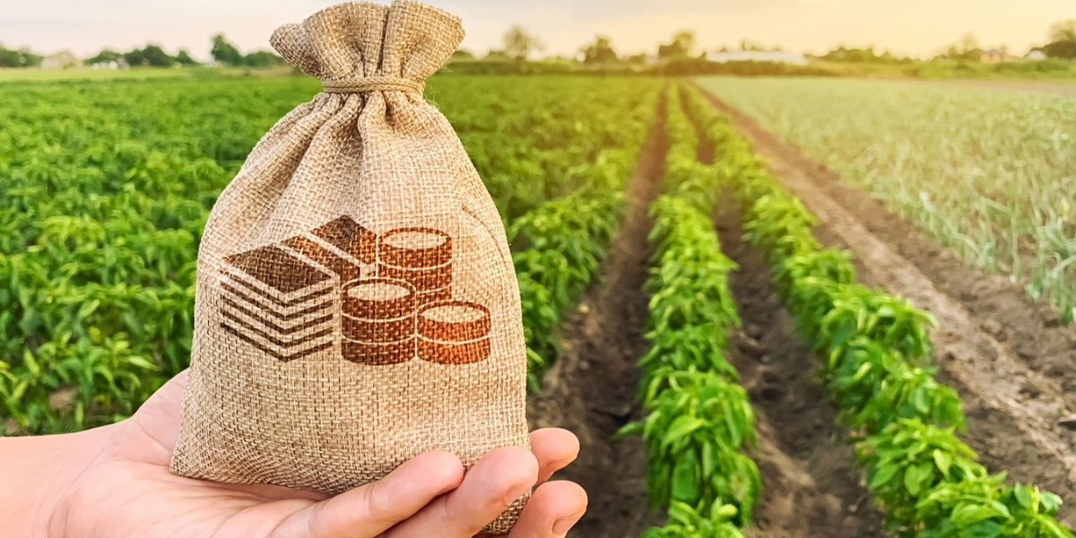 По проекту «ФСХ-13» выдали почти 6 тысяч агрокредитов на 3.7 млрд сомов изображение публикации